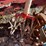 #5638-•-hand-tools-image-5