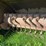 #5578-•-john-deere-flail-chopper-image-15