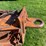 #5575-•-heavy-duty-trailer-image-15