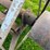 #5620-•-tilt-table-belt-driven-36"-saw-image-4