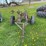 #5586-•-moldboard-plow-image-2