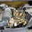 2013-caterpillar-c11-image-2
