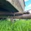 #5585-•-utility-trailer-image-22