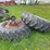 #5587-•-(2)-tractor-tires-image-1