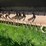 #5578-•-john-deere-flail-chopper-image-14