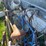 #5635-•-(5)-items-image-11