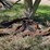 #5599-•-misc.-scrap-metal-&-more-image-4
