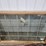 #52-•-12'-x-4'-window-image-3
