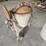 #27-•-cement-mixer-image-5