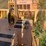 #3-•-390-rex-trash-compactor-image-115