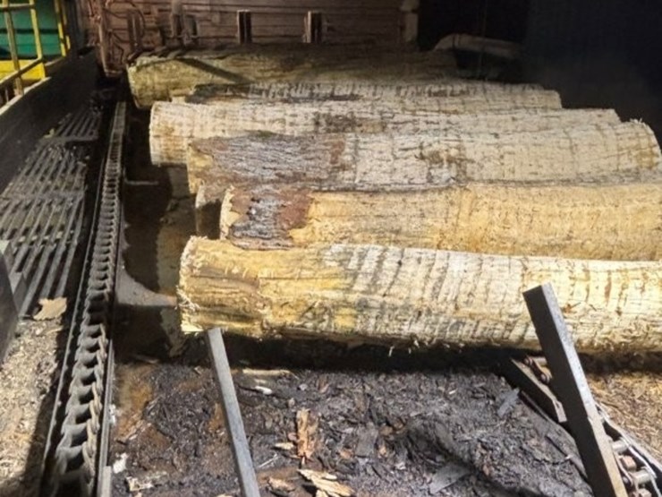 mcdonough-12ft-6inch-x-32ft-4-strand-log-deck-with-electric-drive-image-2