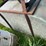 #5618-•-fiber-glass-feed-cart-image-5