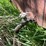 #5617-•-portable-fuel-tank-image-10