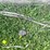 #5629-•-(2)-cables-image-6