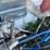 #5635-•-(5)-items-image-7