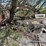 #5599-•-misc.-scrap-metal-&-more-image-22