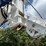 #9999978-•-2012-tadano-gr-550xl-crane-image-21
