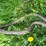#5626-•-cable-image-6