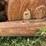 #3-•-390-rex-trash-compactor-image-35