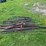 #5598-•-metal-t-posts-image-1