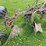 #5586-•-moldboard-plow-image-16
