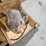 #54-•-pallet-misc-items-image-7