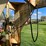 #5576-•-gooseneck-tilt-bed-trailer-image-17