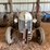 ford-tractor-image-2