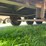 #5574-•-heavy-duty-trailer-image-23