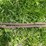 #5624-•-(1)-cable-image-5