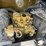 2016-caterpillar-c11-image-3