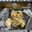 2015-caterpillar-c11-image-3