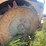#3-•-390-rex-trash-compactor-image-116