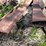 #5605-•-scrap-metal-image-21