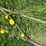 #5625-•-(4)-cables-image-9