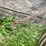 #5630-•-cables-image-4