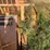 #3-•-390-rex-trash-compactor-image-117