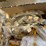 #35-•-caterpillar-parts-image-5