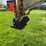 #5576-•-gooseneck-tilt-bed-trailer-image-15