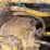 #5557-•-hough-120-payloader-image-80