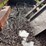 #5580-•-utility-trailer-image-15