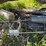 #5601-•-misc.-shop-image-4