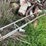 #5605-•-scrap-metal-image-8
