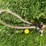#5623-•-(1)-cable-image-6