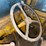 #5557-•-hough-120-payloader-image-69