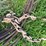 #5630-•-cables-image-9