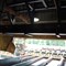 mueller-bros-timbers,-inc-image-2