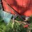 #5637-•-misc.-items-image-10