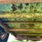 #5577-•-utility-trailer-image-17