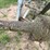 #5611-•-post-hole-digger-image-6